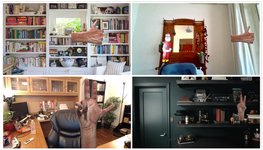 CiccioNet Gesture Examples